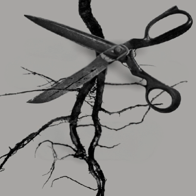 2017 - L'exili i l'acollida de refugiats durant la guerra